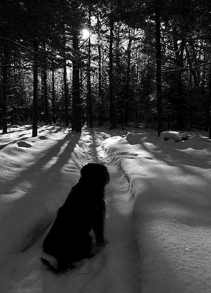 katie on winter path - 